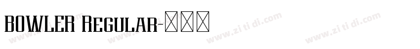 BOWLER Regular字体转换 BOWLER Regular字体转换